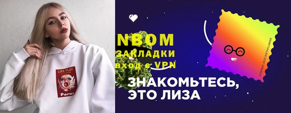 сатива Сатка