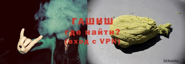 сатива Сатка