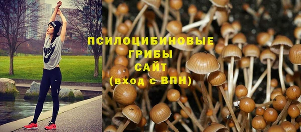 винт Саяногорск