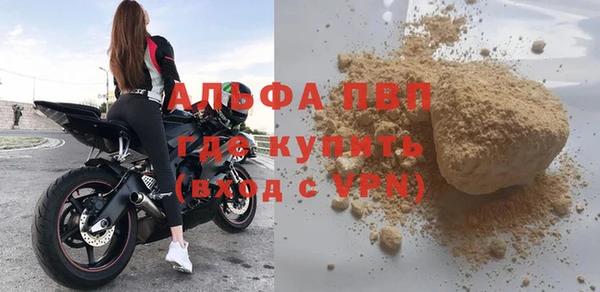 сатива Сатка
