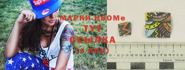 сатива Сатка