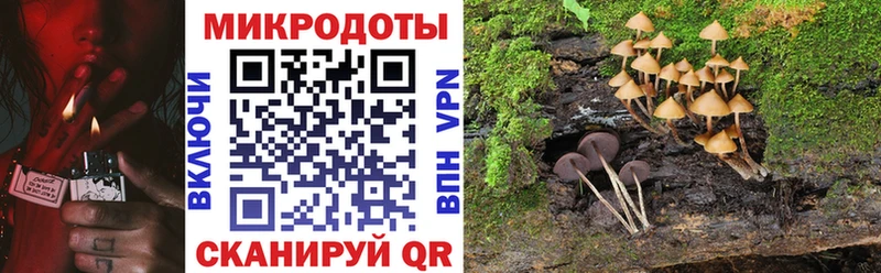 Псилоцибиновые грибы GOLDEN TEACHER  Тимашёвск 